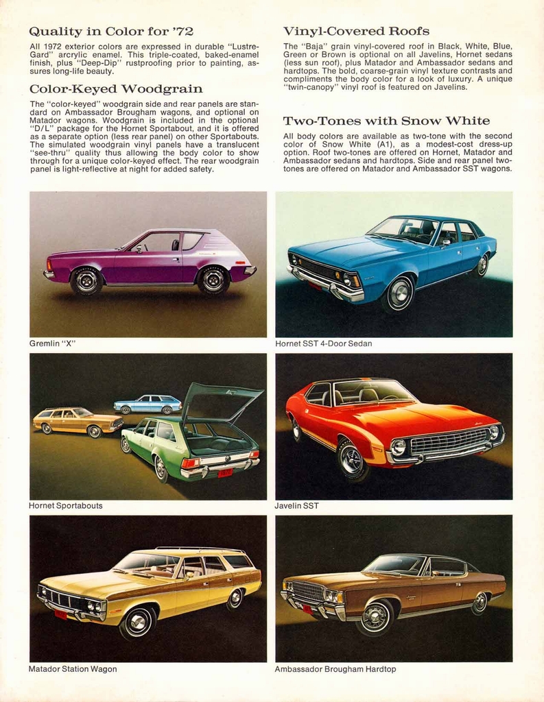 n_1972 AMC Exterior Colors Chart-02.jpg